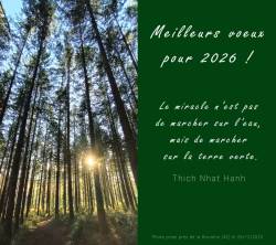 Meilleurs voeux pour 2026!